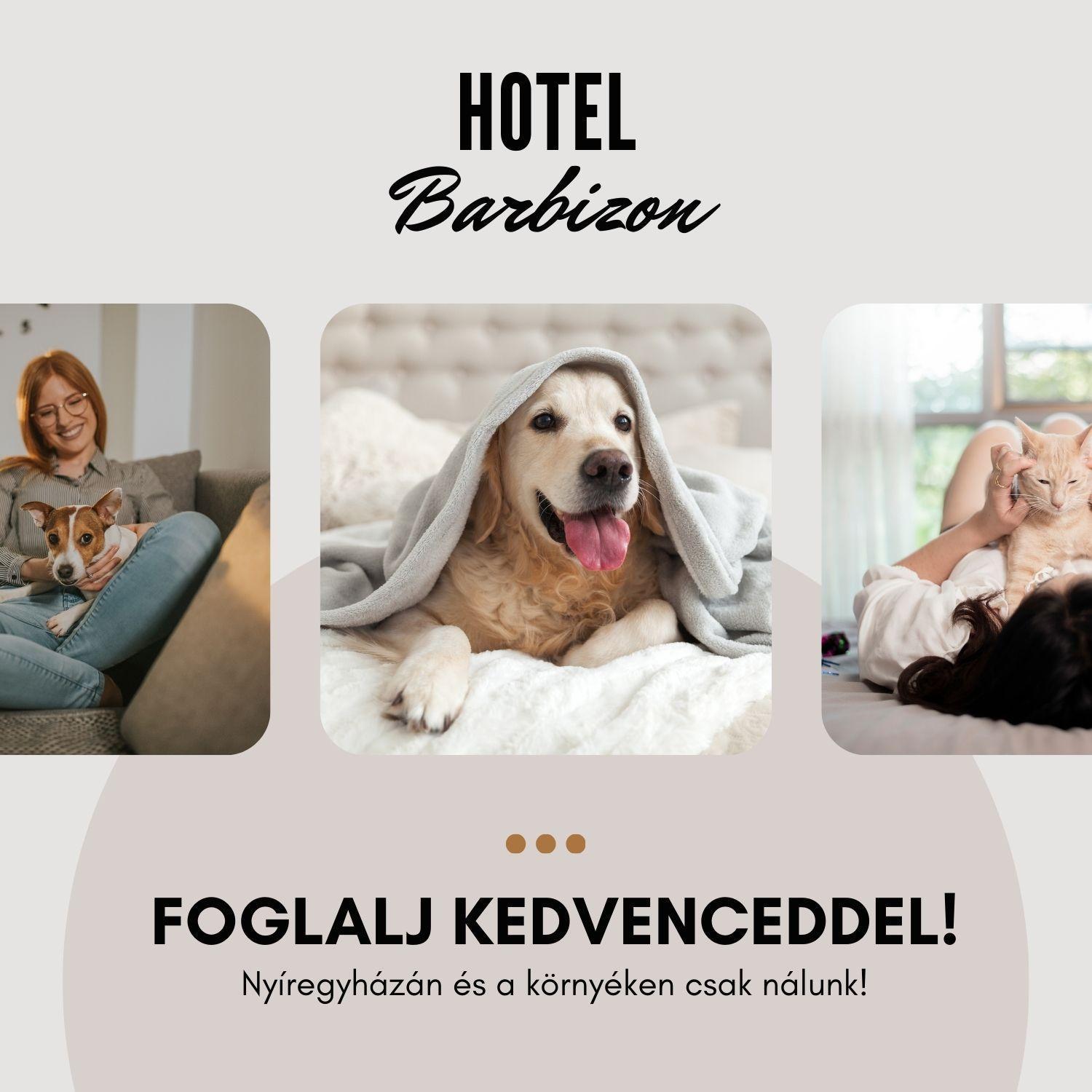 Hotel Barbizon Nyíregyháza Exterior foto
